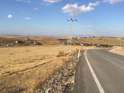 Arsa-Bağ & Bahçe