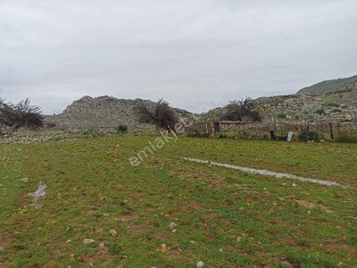 Arsa-Tarla