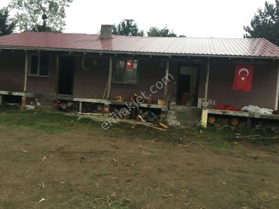 Arsa-Bağ & Bahçe