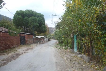 Arsa-Bağ & Bahçe