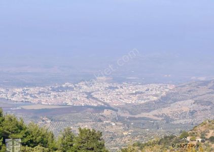 Arsa-Bağ & Bahçe