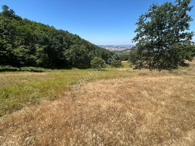 Arsa-Tarla