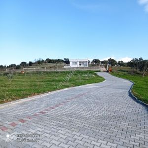 Arsa-Zeytinlik