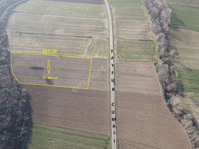 Arsa-Tarla