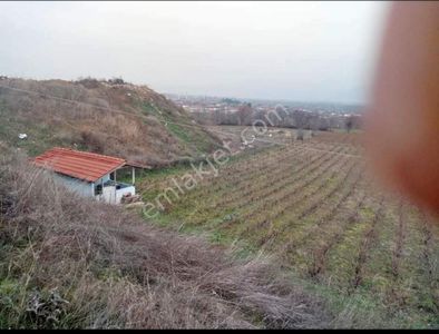 Arsa-Konut İmarlı