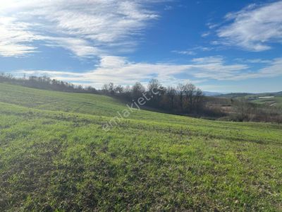 Arsa-Tarla