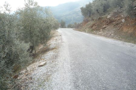 Arsa-Zeytinlik