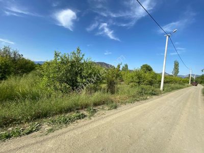 Arsa-Tarla