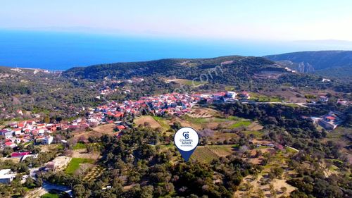 Arsa-Tarla