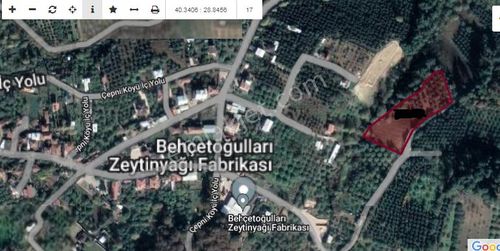Arsa-Zeytinlik