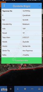 Arsa-Zeytinlik