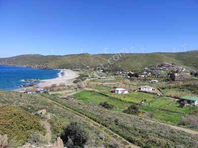 Arsa-Tarla