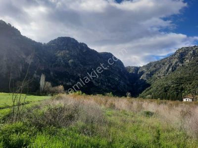 Arsa-Arazi