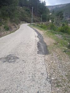 Arsa-Bağ & Bahçe