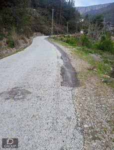 Arsa-Bağ & Bahçe