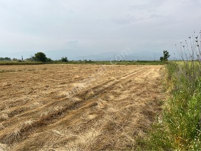Arsa-Tarla