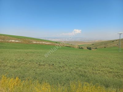 İlyap'tan Çiçektepede Yatırımlık 1500m2 Arsa Otoyla Takas Olur