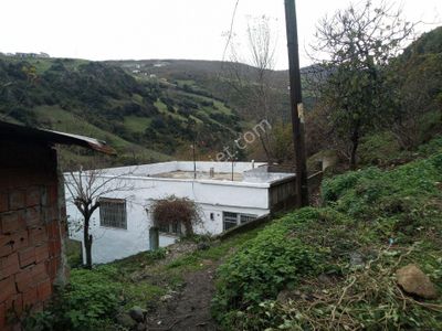 Arsa-Tarla
