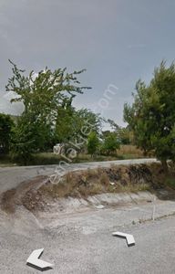 Arsa-Tarla