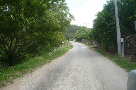 Arsa-Bağ & Bahçe