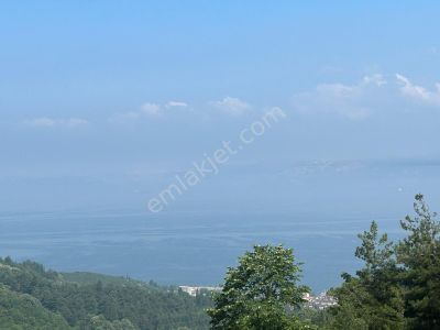 Arsa-Konut İmarlı