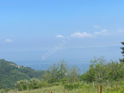 Arsa-Konut İmarlı