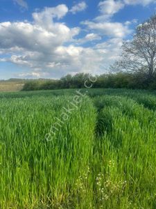 Arsa-Tarla