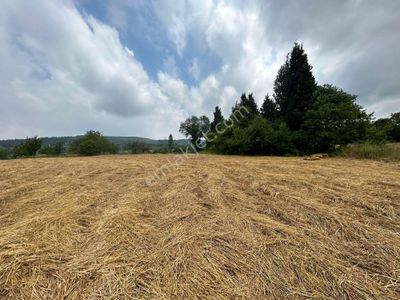 Arsa-Tarla