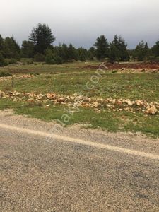 Arsa-Bağ & Bahçe