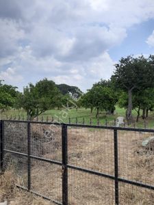 Söke Emlak Ofisinden Bağarasın Da Satılık Bahçe