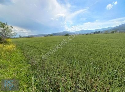 Arsa-Tarla