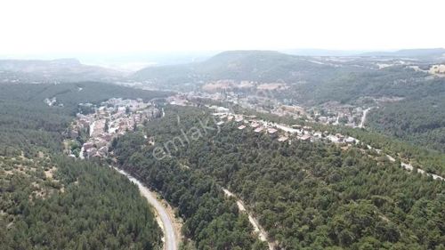 Arsa-Tarla