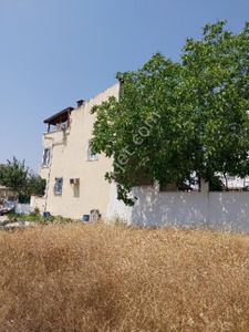 Arsa-Konut İmarlı