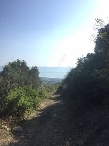 Arsa-Tarla
