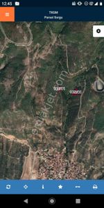 Arsa-Arazi