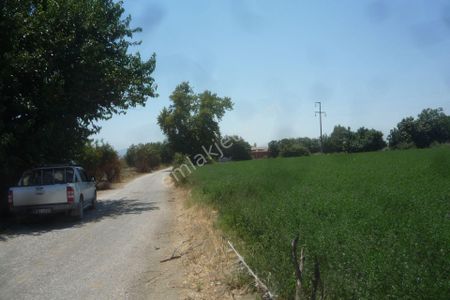 Arsa-Tarla