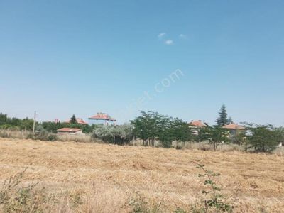 Arsa-Konut İmarlı