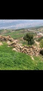 Arsa-Konut İmarlı
