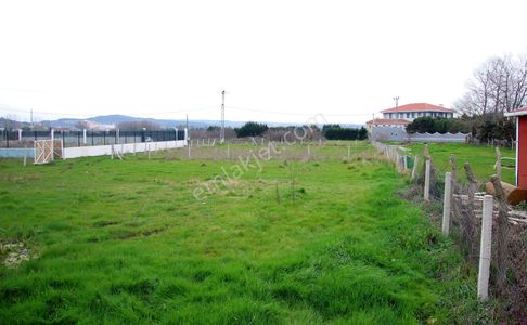 Arsa-Tarla