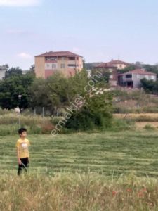 Arsa-Bağ & Bahçe