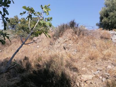 Arsa-Bağ & Bahçe