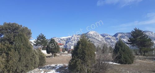 Pozantı Kar Emlaktan Alpu Yaylasında Satılık 478m2 Arsa