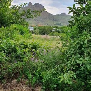 Pozantı Kar Emlak Ve İnşaattan Satılık 1400m2 Kiraz Bahçesi