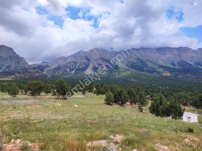 Pozantı Kar Emlaktan Fenese Mevkinde Satılık 500m2 Arsa