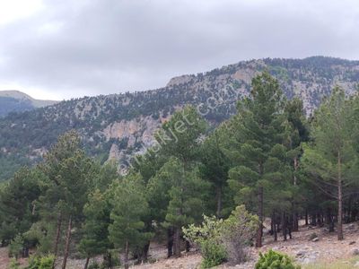 Pozantı Kar Emlaktan Bozkırlı Mevkiinde Satılık 450m2 Arsa