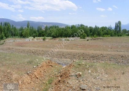 Arsa-Konut İmarlı
