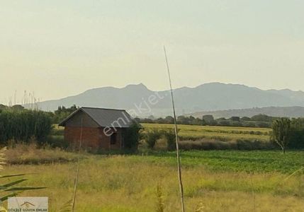 Arsa-Tarla