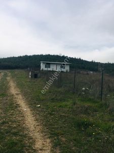 Arsa-Tarla