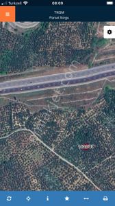 Arsa-Zeytinlik