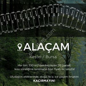 Arsa-Bağ & Bahçe